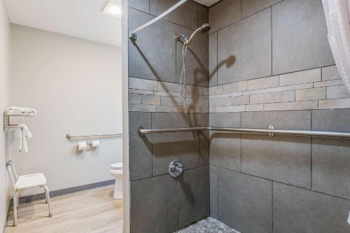Econo Lodge Sevierville / Pigeon Forge - image 30
