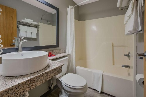 Econo Lodge Sevierville / Pigeon Forge - image 31