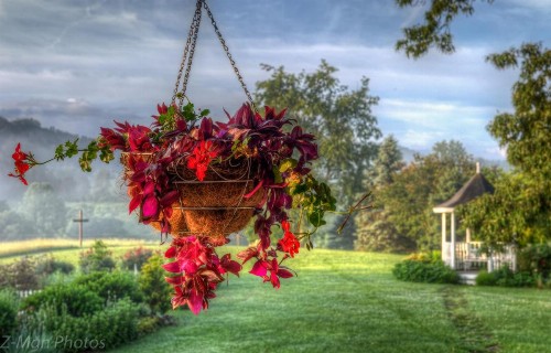 Blue Mountain Mist Country Inn - image 15