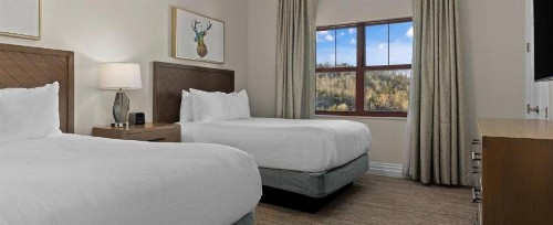Great Smokies Lodge - image 20