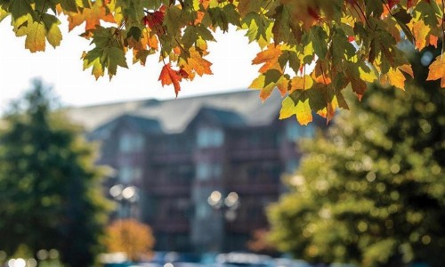 Great Smokies Lodge - image 47