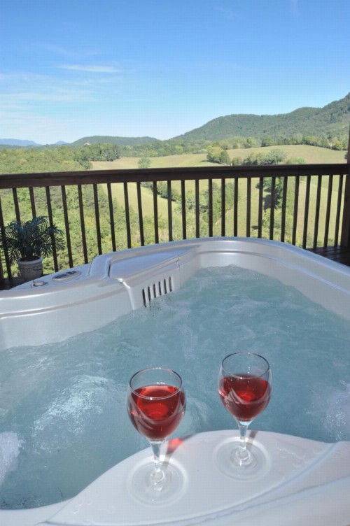 Berry Springs Lodge - image 40