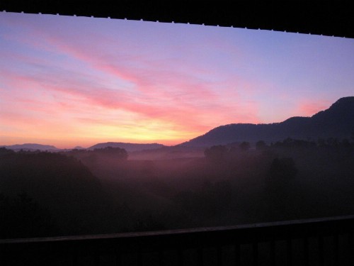 Berry Springs Lodge - image 43