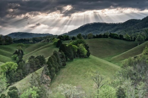Berry Springs Lodge - image 45