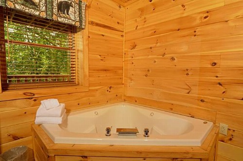 #1850 Amazing Smoky Views - image 2