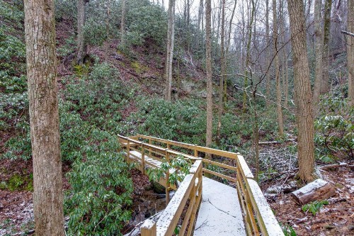 #3685 Brookside - image 36