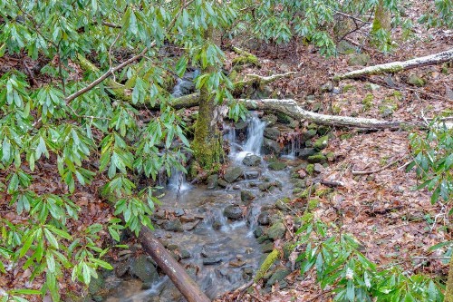 #3685 Brookside - image 38