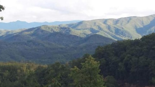 #2168 A View for Two - image 6