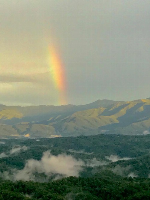 A View from the Top - image 21