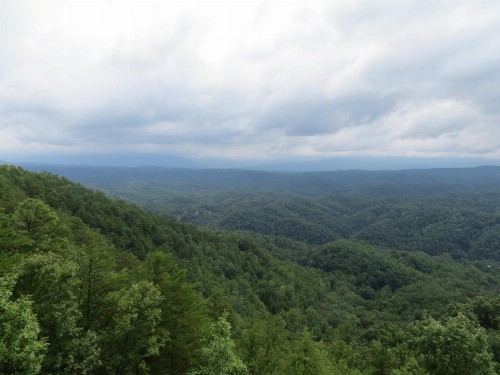A View from the Top - image 33