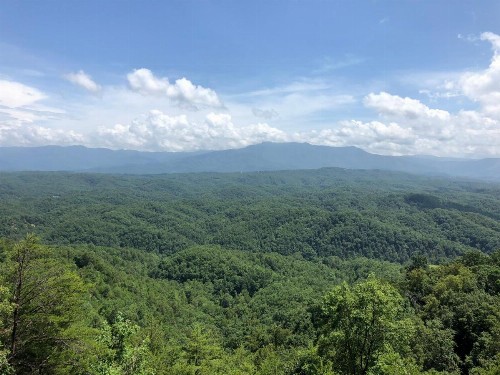 A View from the Top - image 5