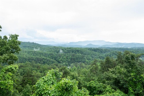 Tennessee Lodge - image 26