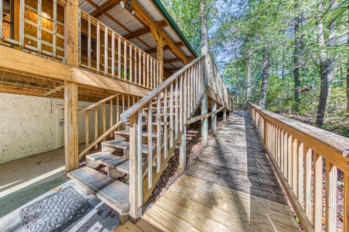 Smokies Sanctuary - image 12