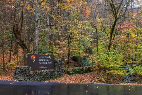 Smokies Sanctuary - image 6