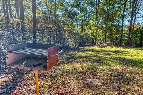 Smokies Sanctuary - image 9