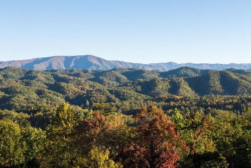 Sweet Retreat - image 8