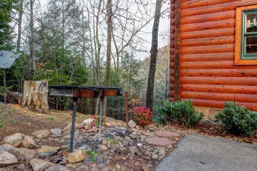 Mystic Falls Lodge - image 12