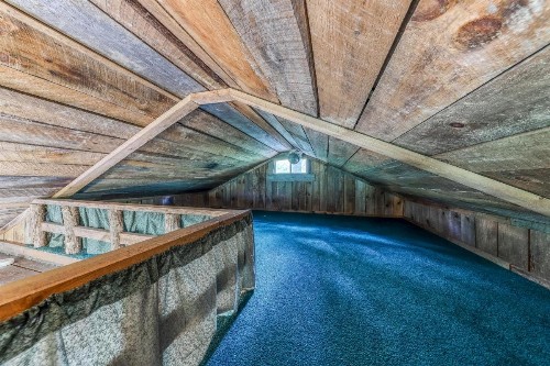 Mockingbird's View - image 7