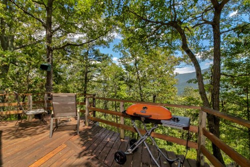 Mockingbird's View - image 8