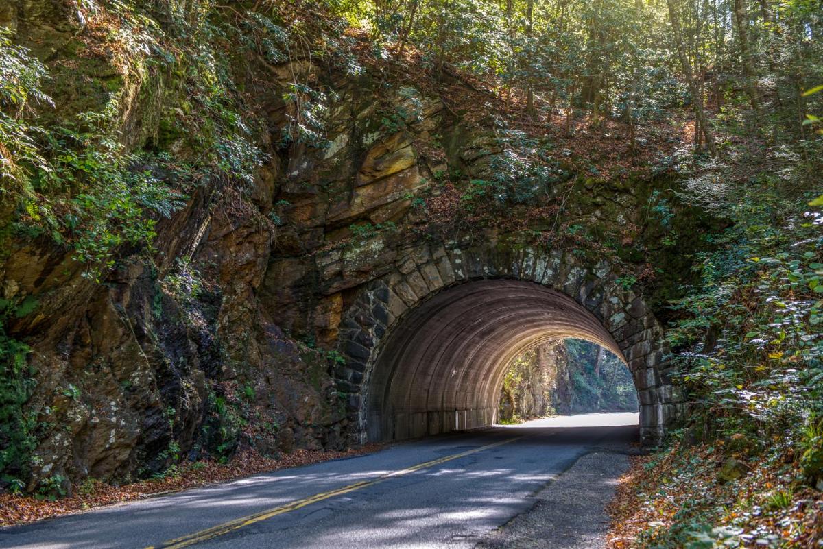 Fox Hollow - image 6