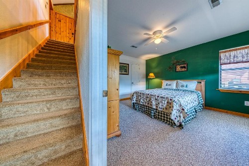Cove Mountain Retreat - image 4