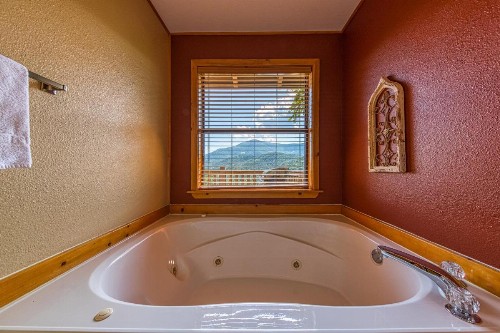 Cove Mountain Retreat - image 7