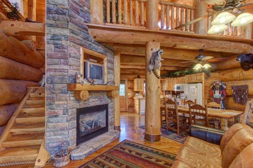 Chief Big Log - image 10