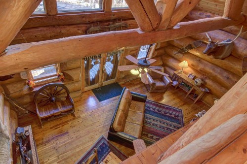 Chief Big Log - image 8