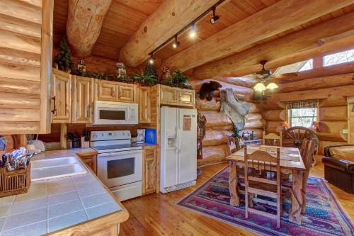 Chief Big Log - image 9