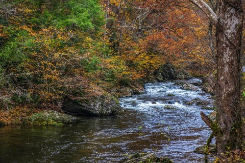 Blue Ridge Retreat - image 8