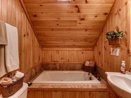 Dogwood Cabin - image 7