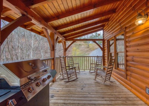 Cabin Fever - image 11