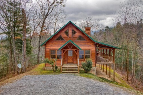 Cabin Fever - image 5