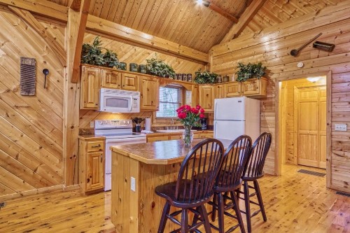 Cabin Fever - image 6