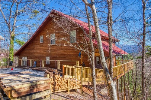 Run to the Hills Cabin - image 7