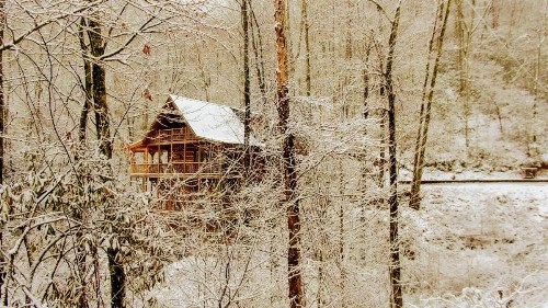 Serenity Creek Cabin - image 8