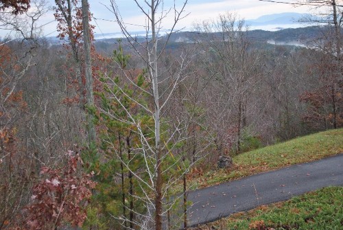 Far Horizon Cabin - image 2