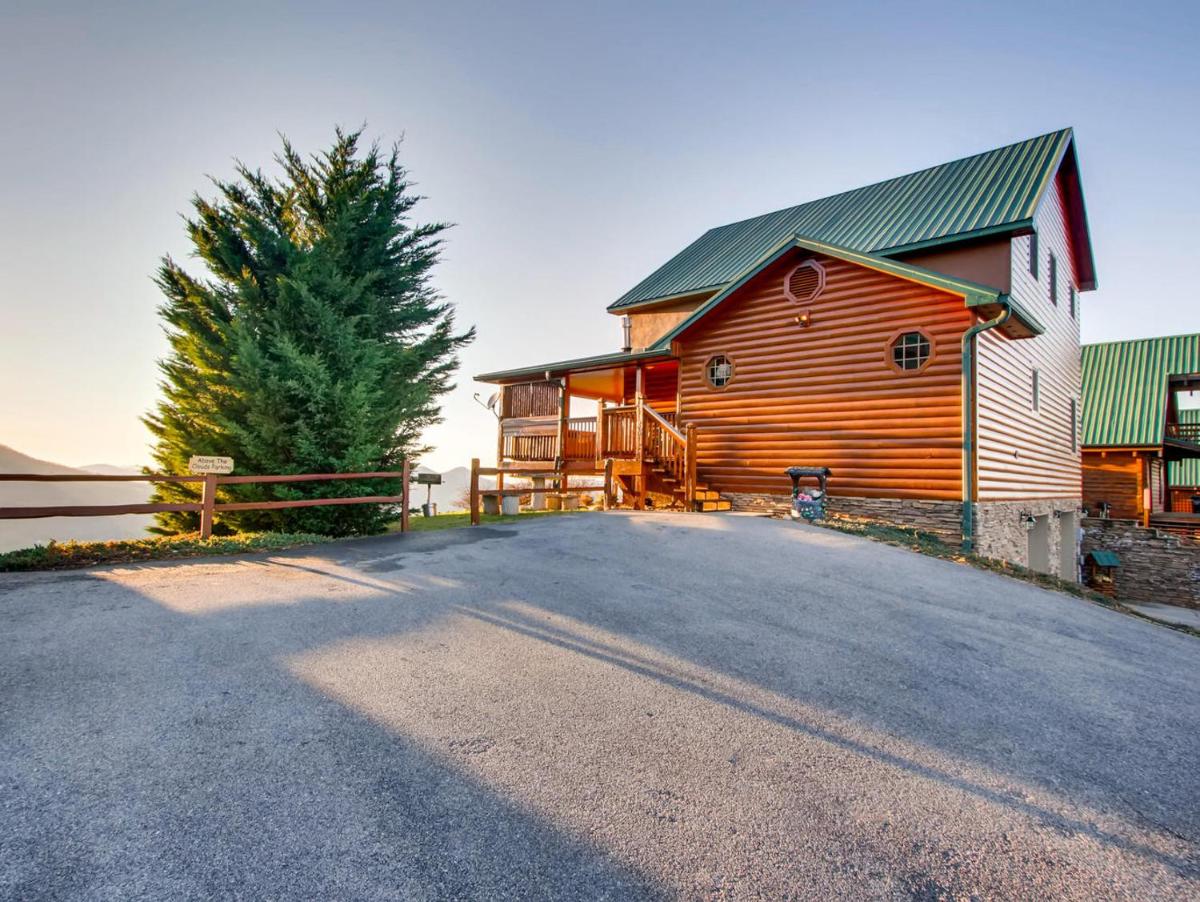 Above Awe Cabin - image 5
