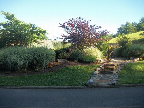 Southern Grace - image 6