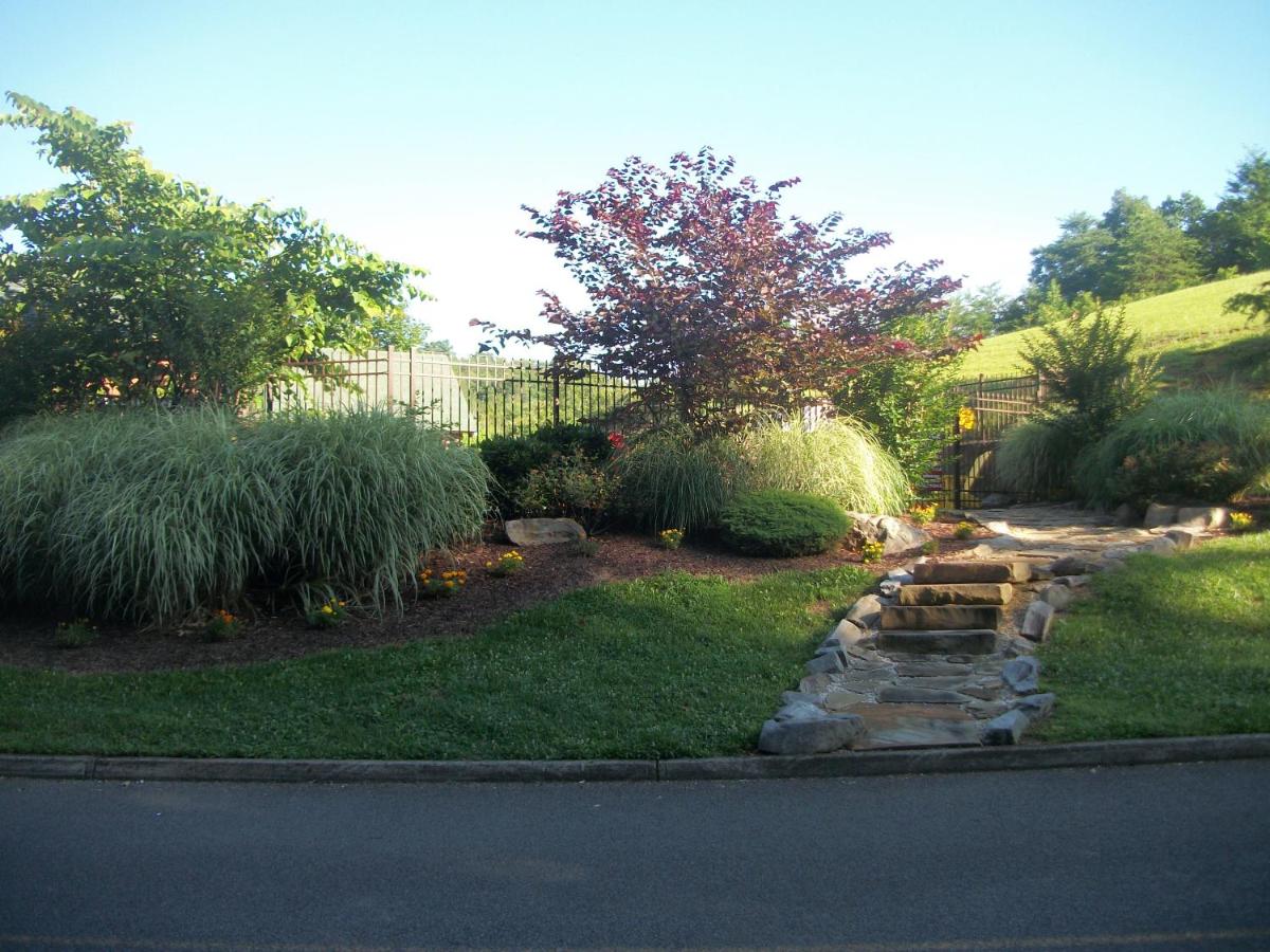 Southern Grace - image 6