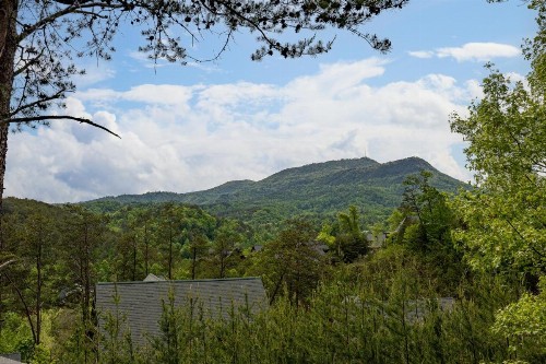 Sugar Shack - image 9