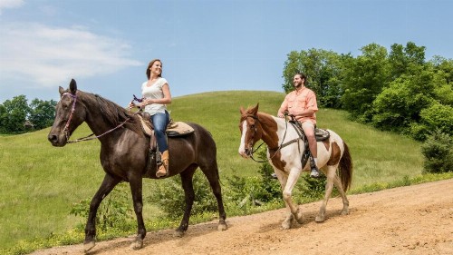 Smoky Mountain Getaway - image 34