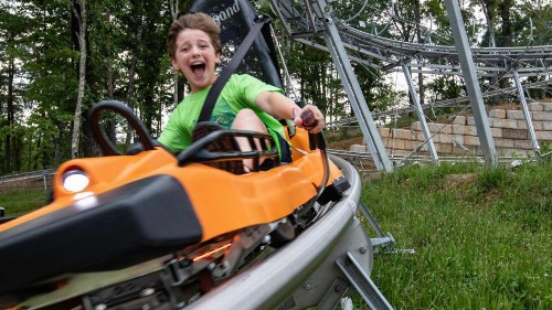 Smoky Mountain Getaway - image 37