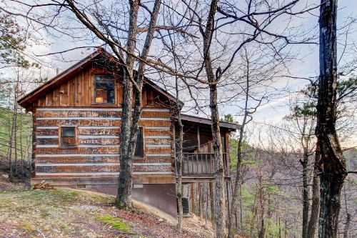 Misty View Cabin - image 10