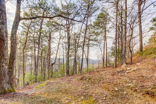 Misty View Cabin - image 6