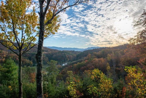 Mountain Solitude Cabin - image 12