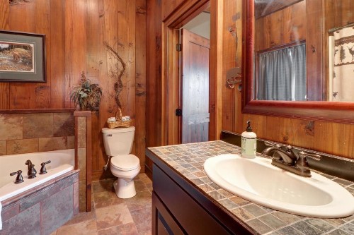 Mountain Solitude Cabin - image 6