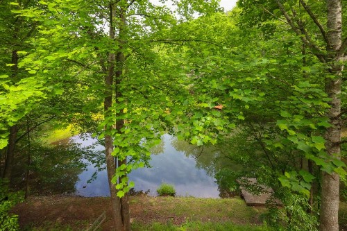 Shellie's Chateau - image 38