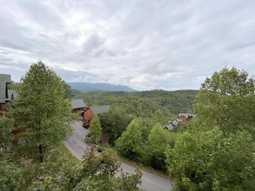 Wild Mountain Honey 3 Bedroom/3 Bath Home with Home Theater - image 22