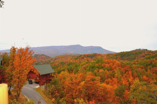 Wild Mountain Honey 3 Bedroom/3 Bath Home with Home Theater - image 6
